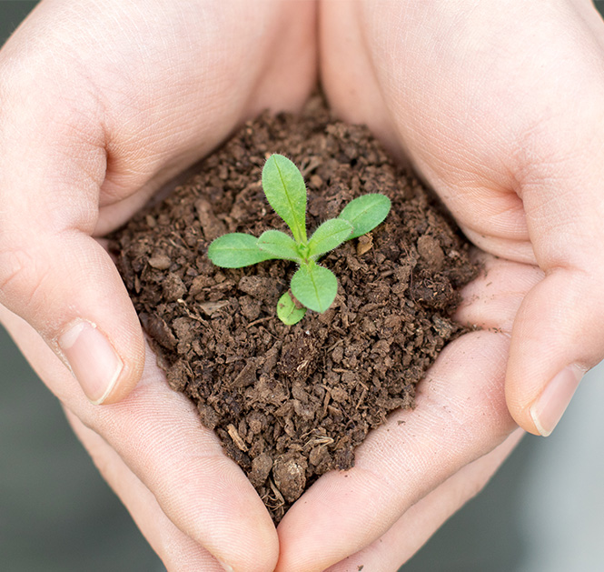 企業(yè)價(jià)值觀(guān)